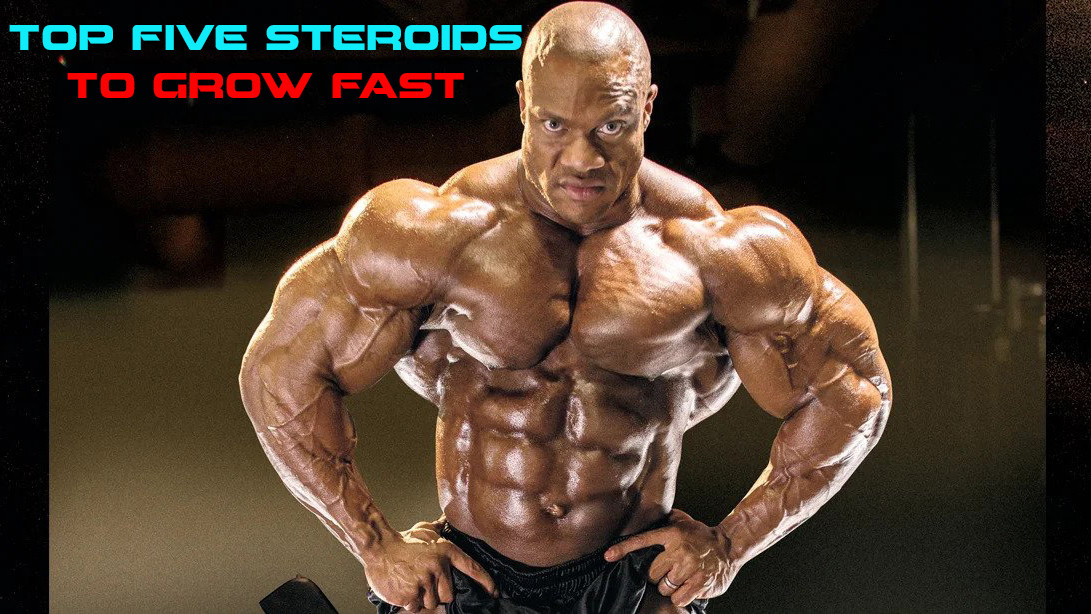 TOP five steroids for lean muscle mass and fat loss